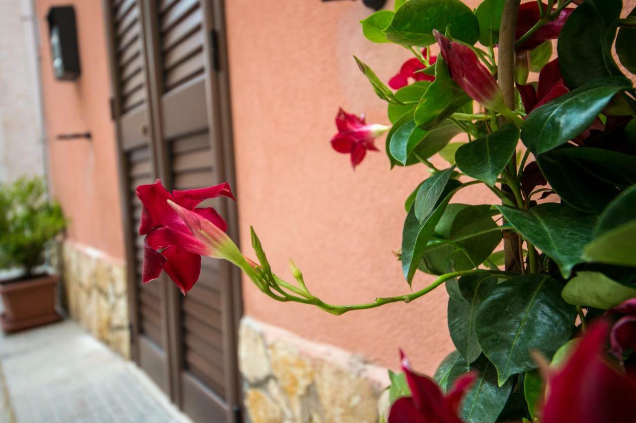 'A Cumerdia - Casa Vacanze Castellammare del Golfo Ngoại thất bức ảnh
